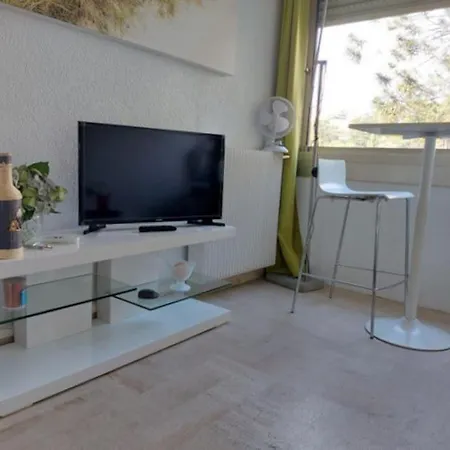 Le Trident De La - Axelle Loc'appart Apartment *